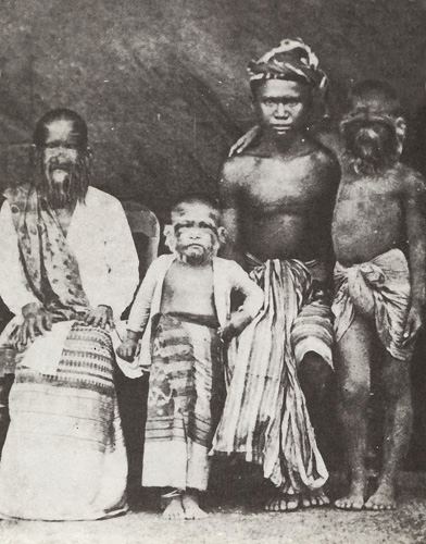 Lost Footsteps The Hairy Family Of Mandalay