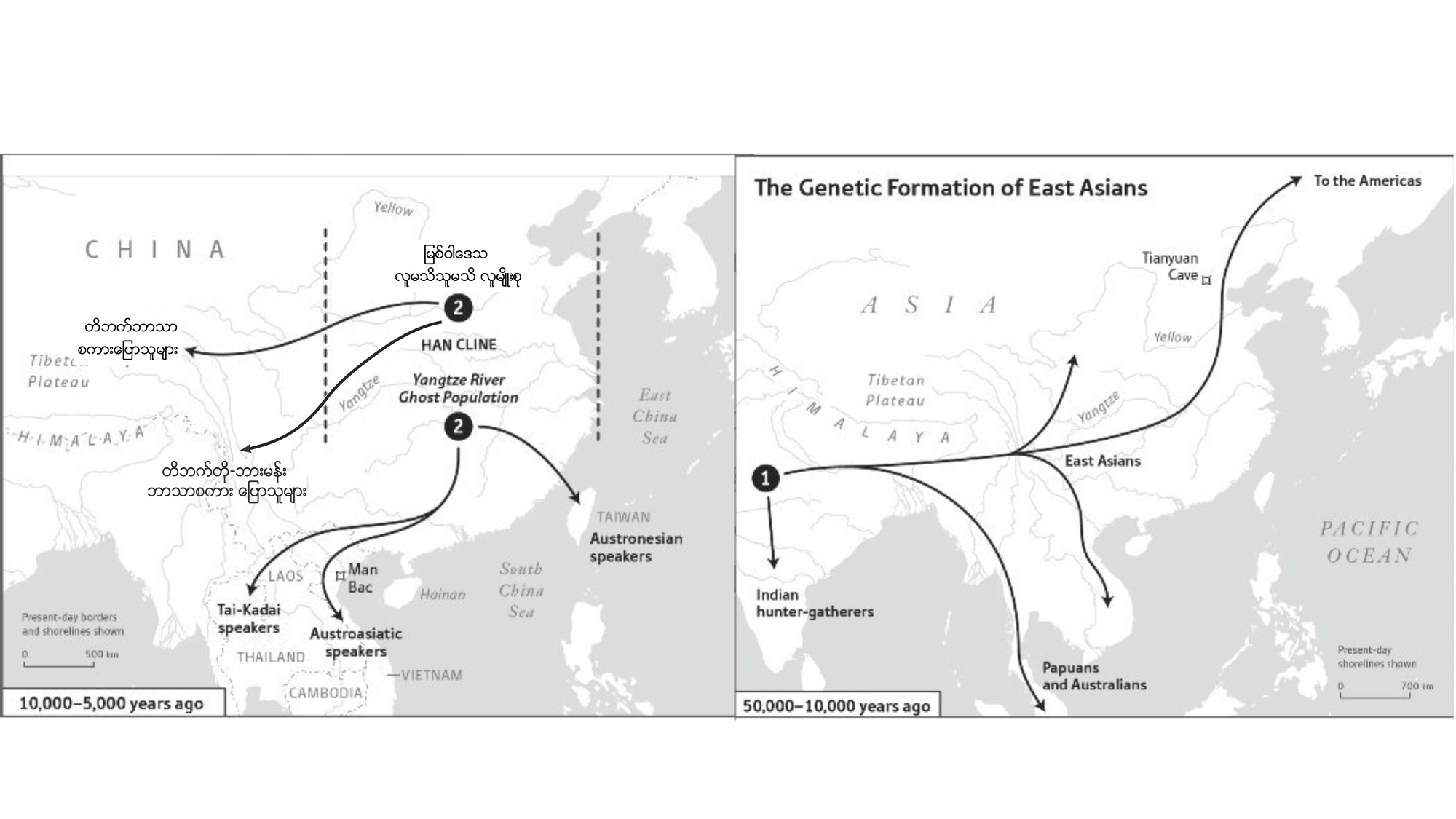 The genetic history of the Burmese people