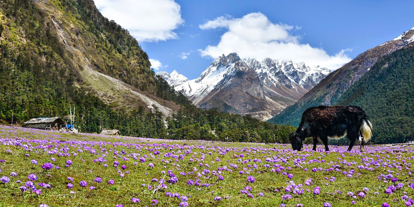 A mountain valley in Sikkim today.